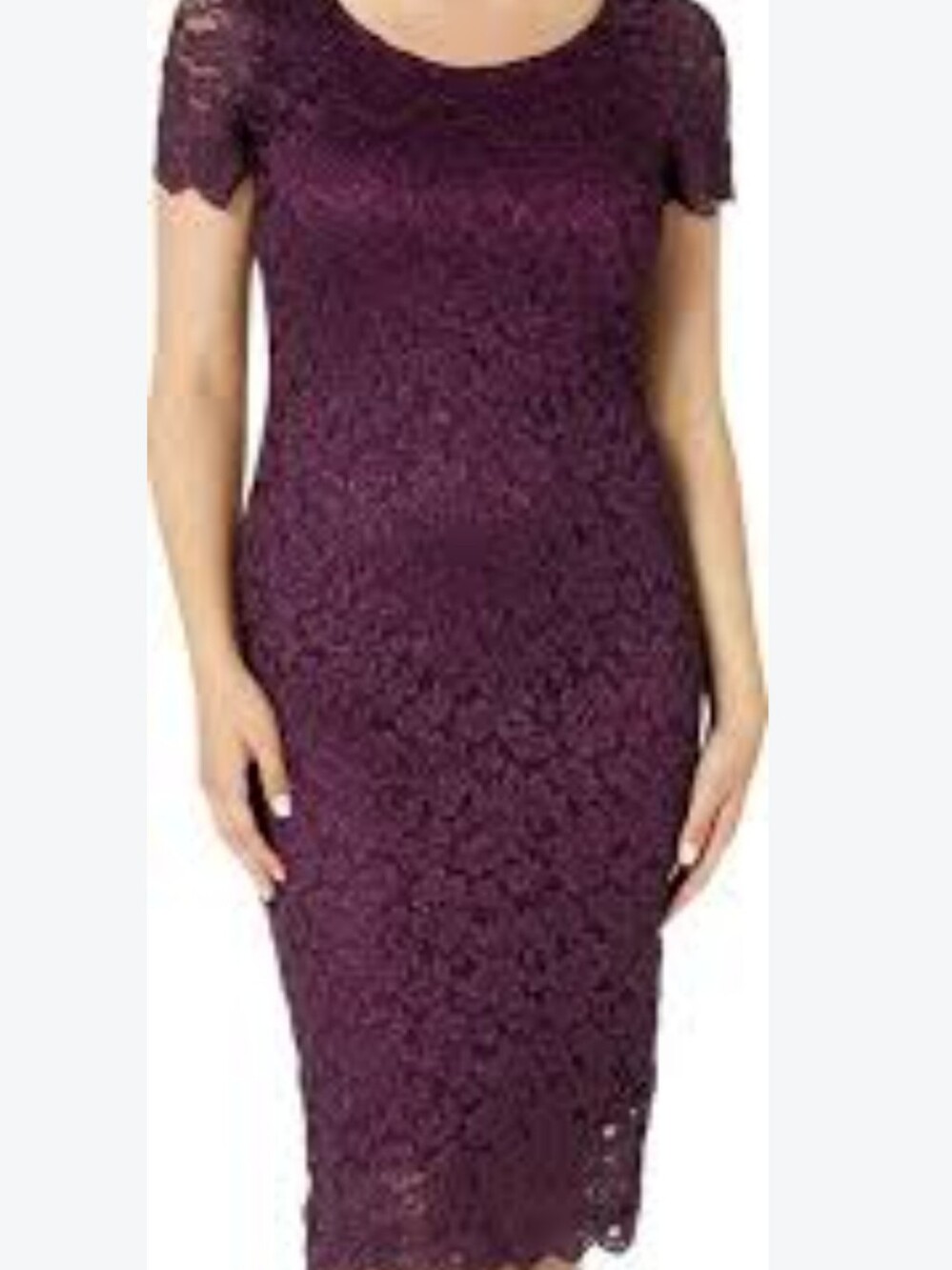 Ronni Nicole Plum Burgundy Glitter Floral Lace Sheath Dress Women's Sz 10